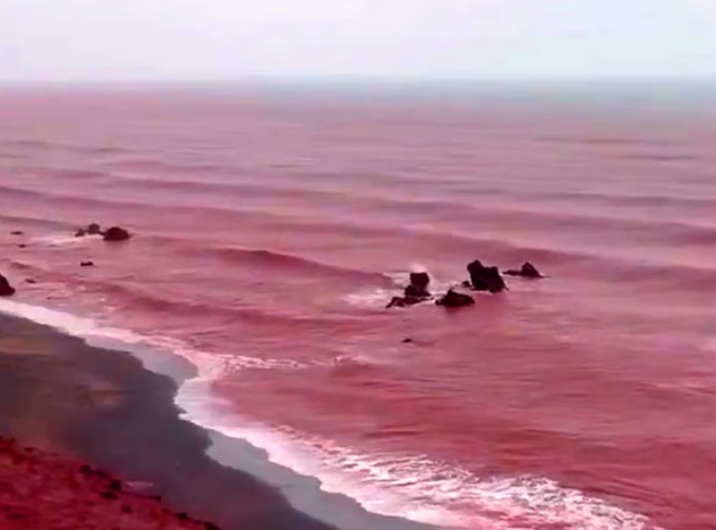 罕见!伊朗霍尔木兹岛遭遇强降雨,部分海域变成“血色海洋” 罕见!伊朗霍尔木兹岛遭遇强降雨,部分海域变成“血色海洋”