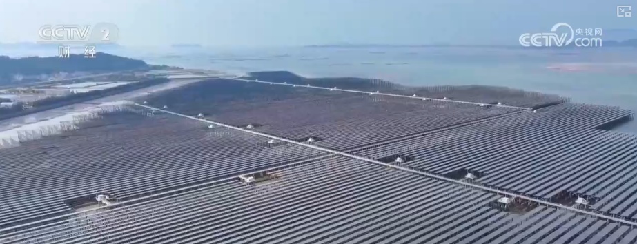 绿色资源变“绿色财富” 多元“借绿生金”路径助力百姓“点绿成金”“点海成金”