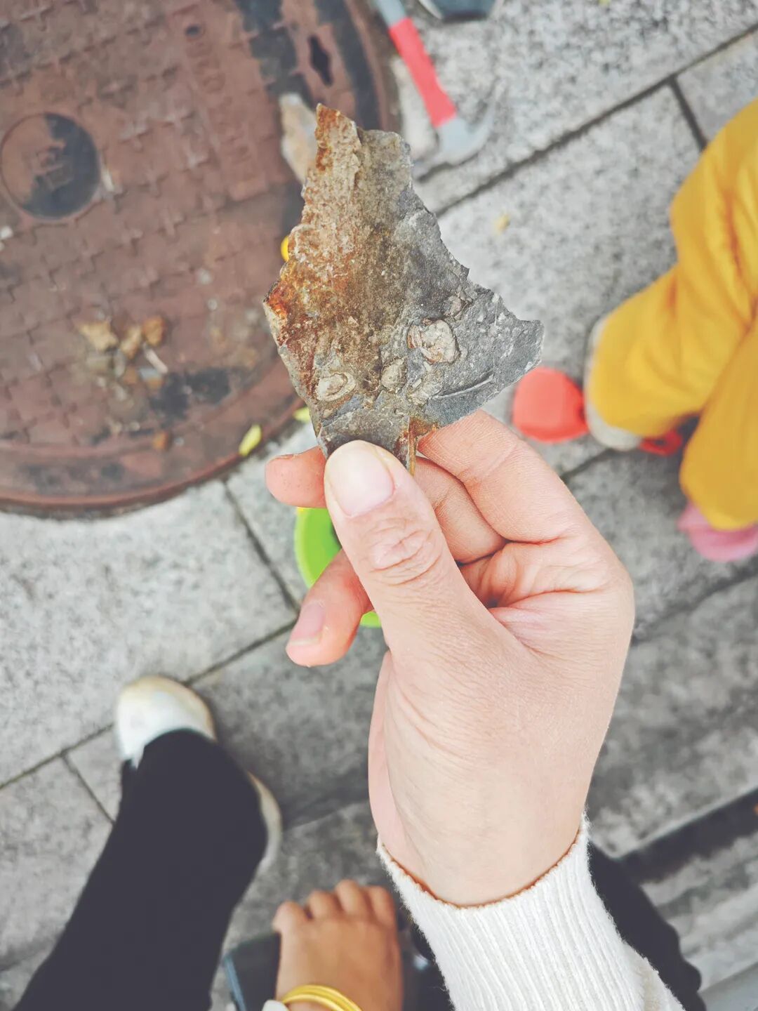 重庆中央公园的“化石”不能挖了！现场已拉起警戒线