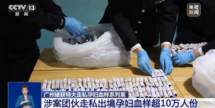 广州破获特大走私孕妇血样系列案，涉案团伙走私出境孕妇血样超10万人份