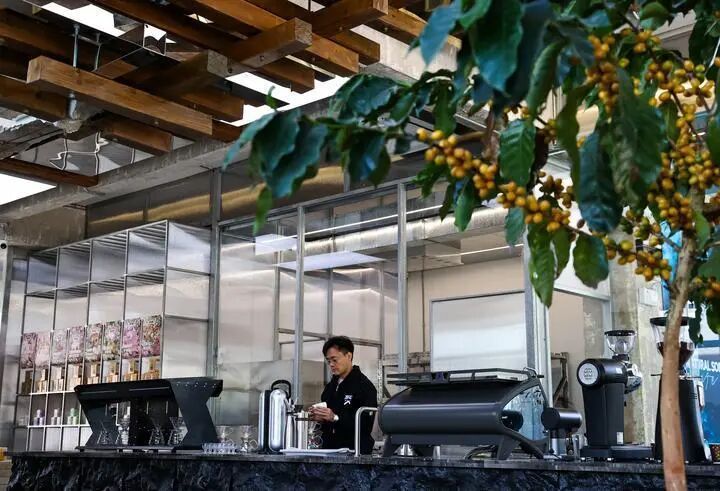 急急急！旅居这么热，现在加入能做什么？