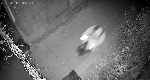 专盯礼金？这个“新婚夜”盗贼，落网了！