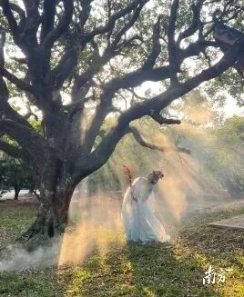 广东这个村火了！村民：当初只是为了“赚个鸡蛋钱”