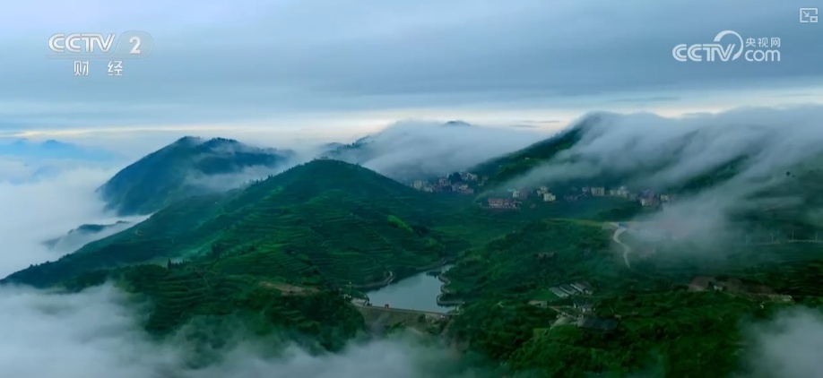 绿色资源变“绿色财富” 多元“借绿生金”路径助力百姓“点绿成金”“点海成金”