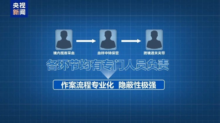 5个月非法获利700多万元！走私孕妇血样黑色产业链曝光