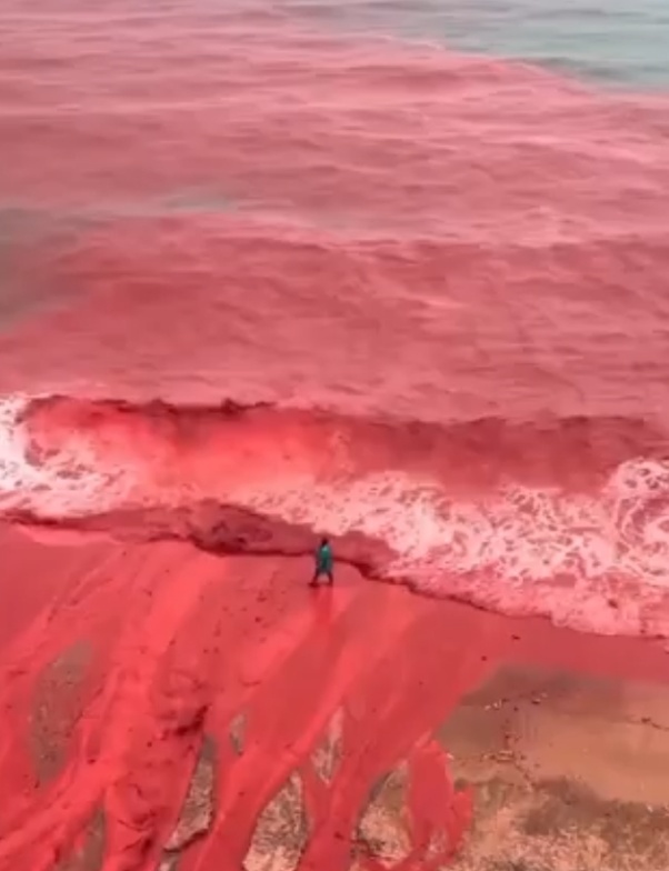 罕见!伊朗霍尔木兹岛遭遇强降雨,部分海域变成“血色海洋” 罕见!伊朗霍尔木兹岛遭遇强降雨,部分海域变成“血色海洋”