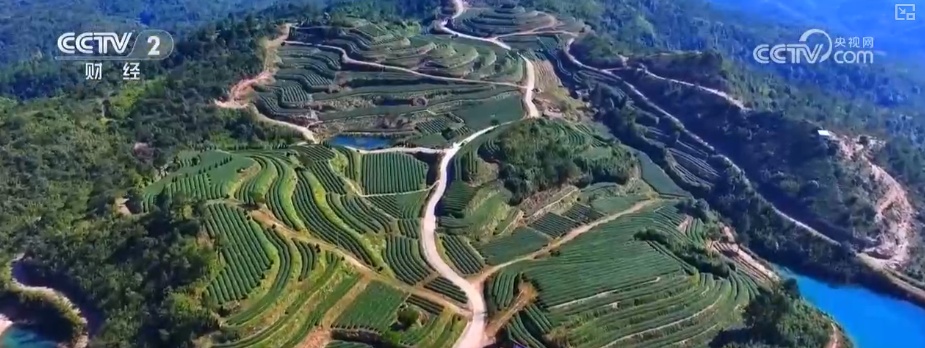 绿色资源变“绿色财富” 多元“借绿生金”路径助力百姓“点绿成金”“点海成金”