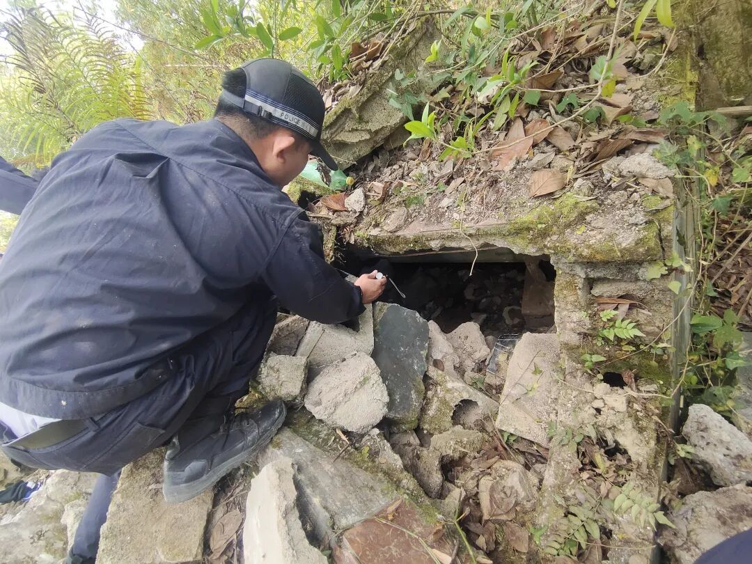 只因想要个手机，76岁大爷赌气躲进深山！靠一瓶白酒开启老年“荒野求生”