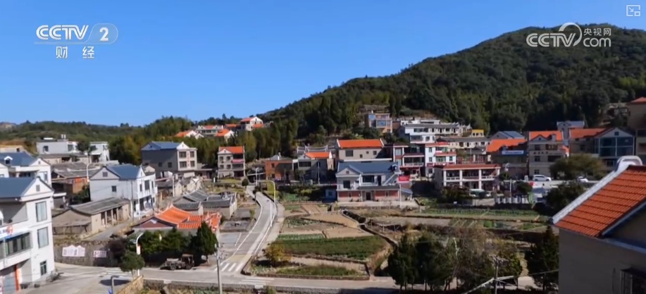 绿色资源变“绿色财富” 多元“借绿生金”路径助力百姓“点绿成金”“点海成金”