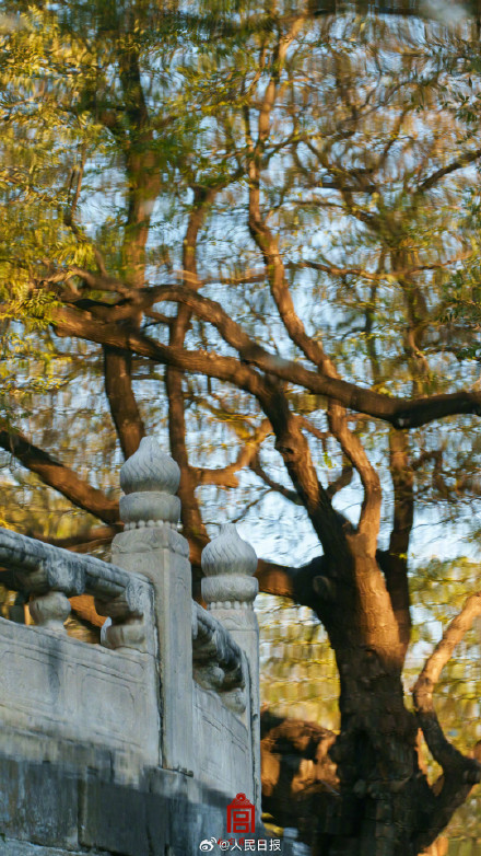 收藏！故宫质感壁纸上新