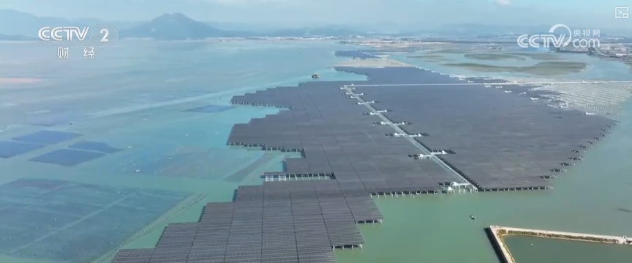 绿色资源变“绿色财富” 多元“借绿生金”路径助力百姓“点绿成金”“点海成金”