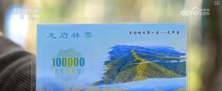 绿色资源变“绿色财富” 多元“借绿生金”路径助力百姓“点绿成金”“点海成金”