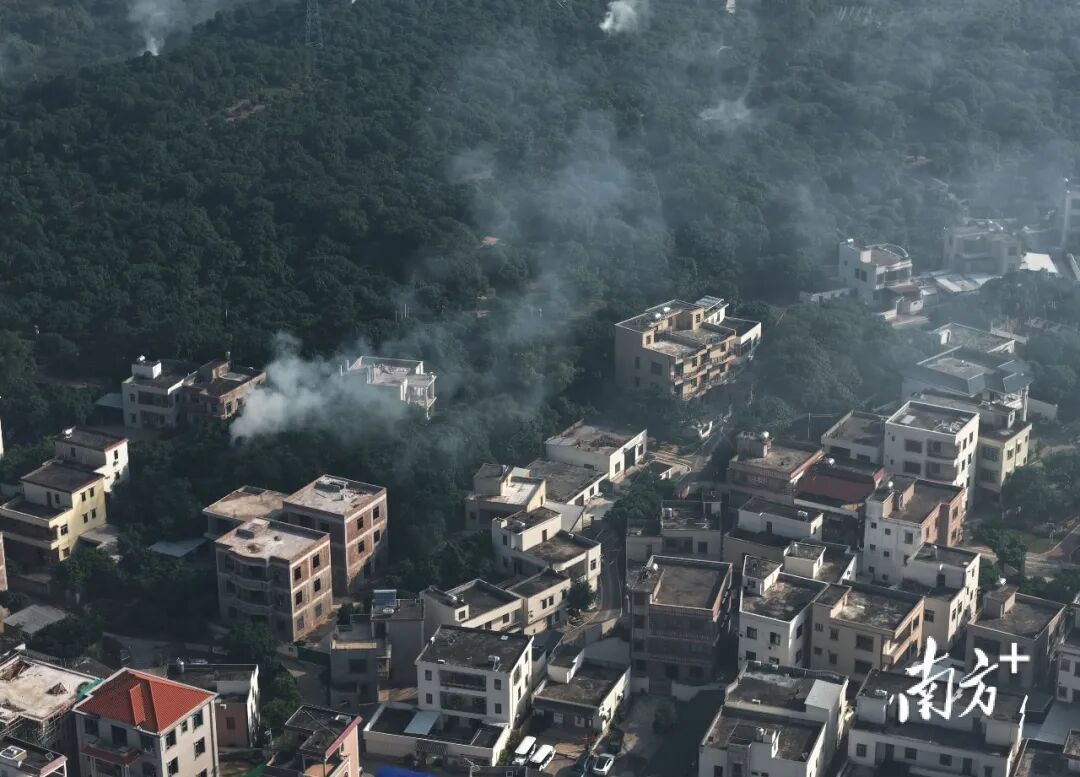 广东这个村火了！村民：当初只是为了“赚个鸡蛋钱”