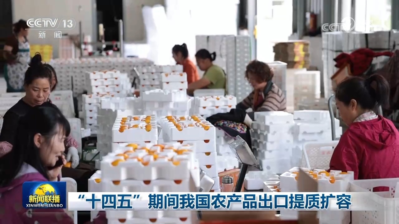 “十四五”期间我国农产品出口提质扩容 “十四五”期间我国农产品出口提质扩容
