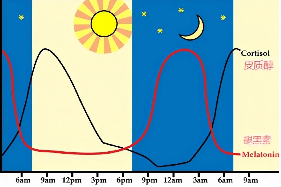 晚上11点后睡觉的人，这种睡眠激素正在流失