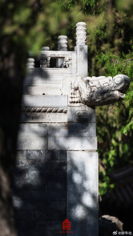 绝美！故宫美图怎么看都好看