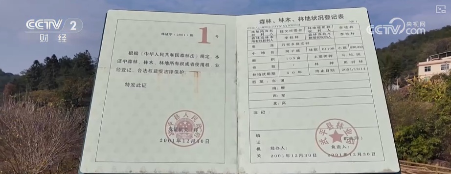 绿色资源变“绿色财富” 多元“借绿生金”路径助力百姓“点绿成金”“点海成金”