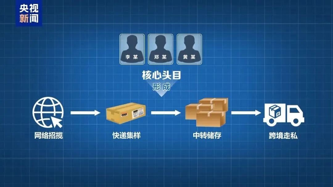 央视曝光走私孕妇血样黑色产业链，5个月非法获利700多万元，涉案范围覆盖全国23个省份