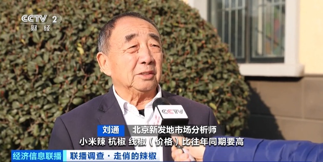 涨！涨！涨！辣椒价格飙涨！