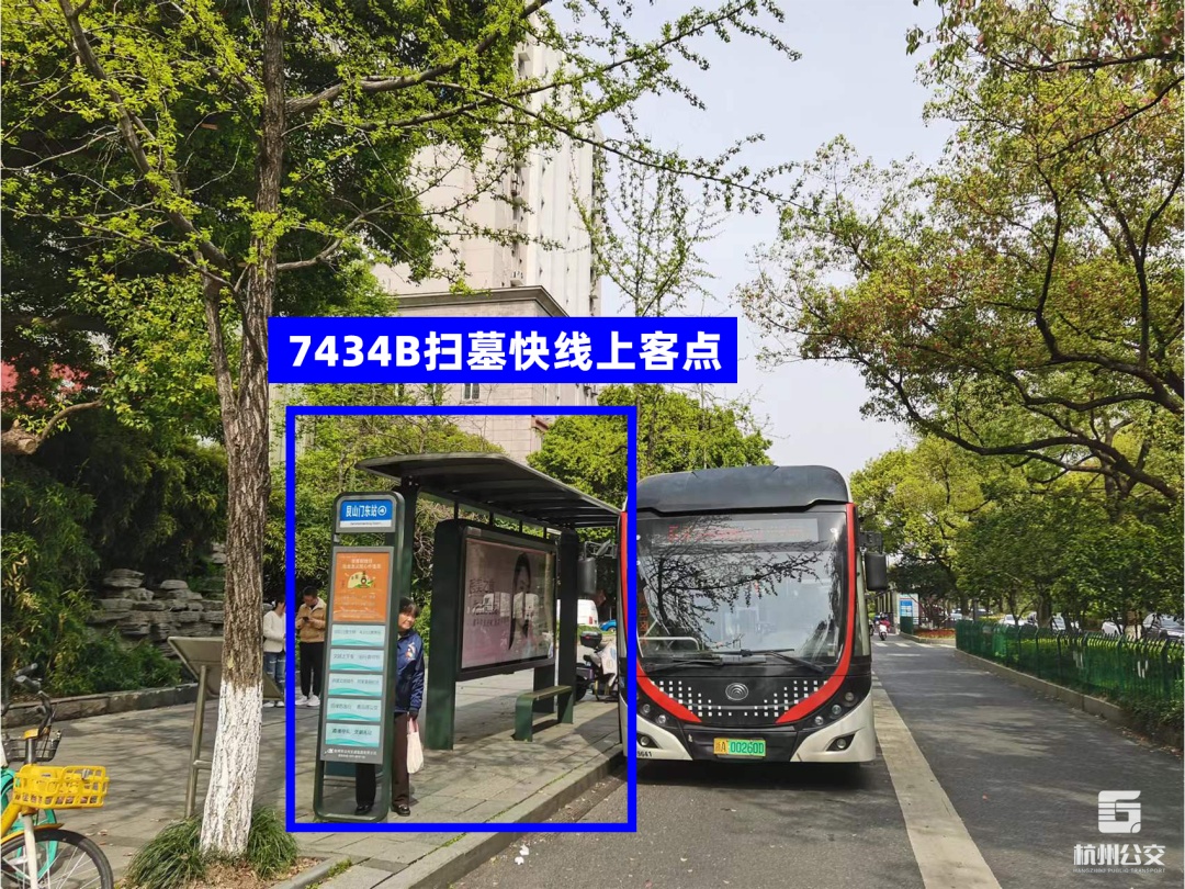 事关冬至祭扫!杭州公交开通专线 事关冬至祭扫!杭州公交开通专线