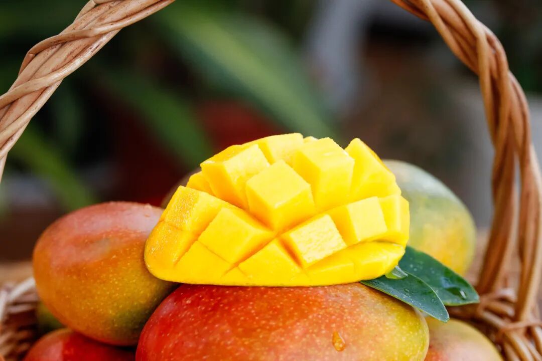 这里,太能 “闯” 了! 这里,太能 “闯” 了!