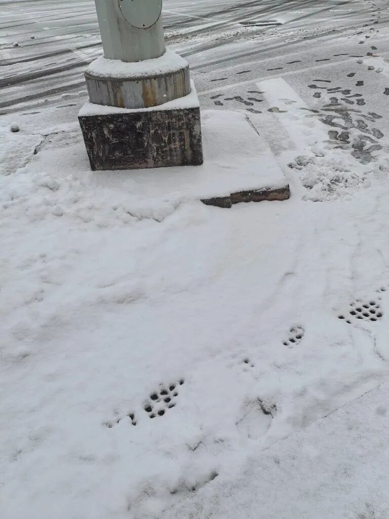 最近杭州不少人突击休假旅游,有网友连休一个月!再不休来不及了 最近杭州不少人突击休假旅游,有网友连休一个月!再不休来不及了