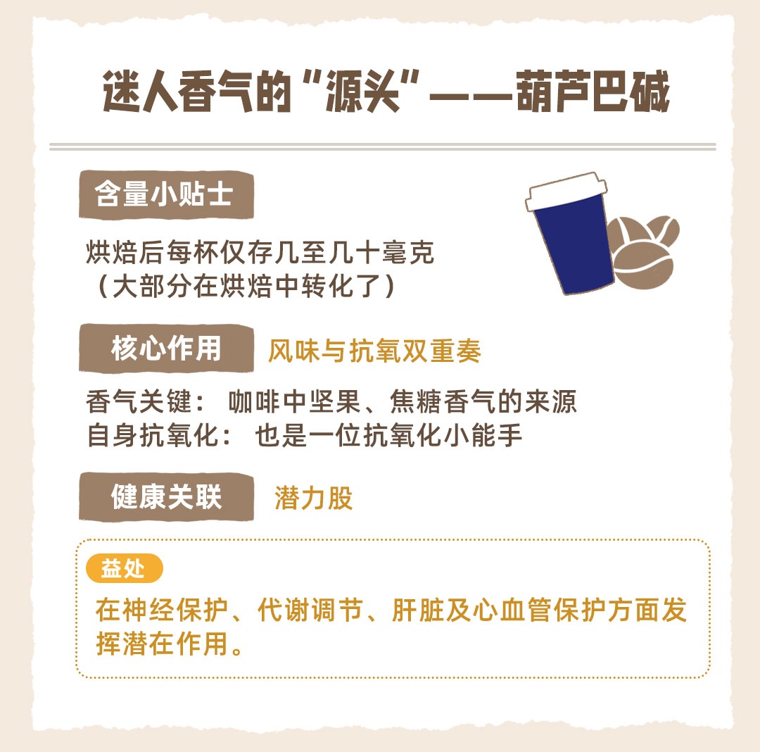 每天喝咖啡是“提神”还是“伤身”?这份报告揭开的真相,快藏不住了 每天喝咖啡是“提神”还是“伤身”?这份报告揭开的真相,快藏不住了