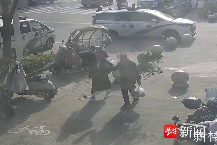 嘴馋“捡”金桔?“顺手牵羊”也是偷 嘴馋“捡”金桔?“顺手牵羊”也是偷