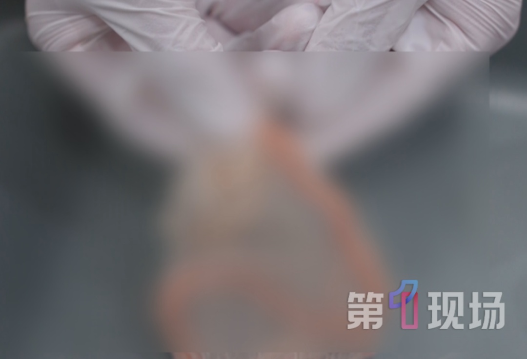 女子裤袋藏4条活蛇!入境被查 女子裤袋藏4条活蛇!入境被查