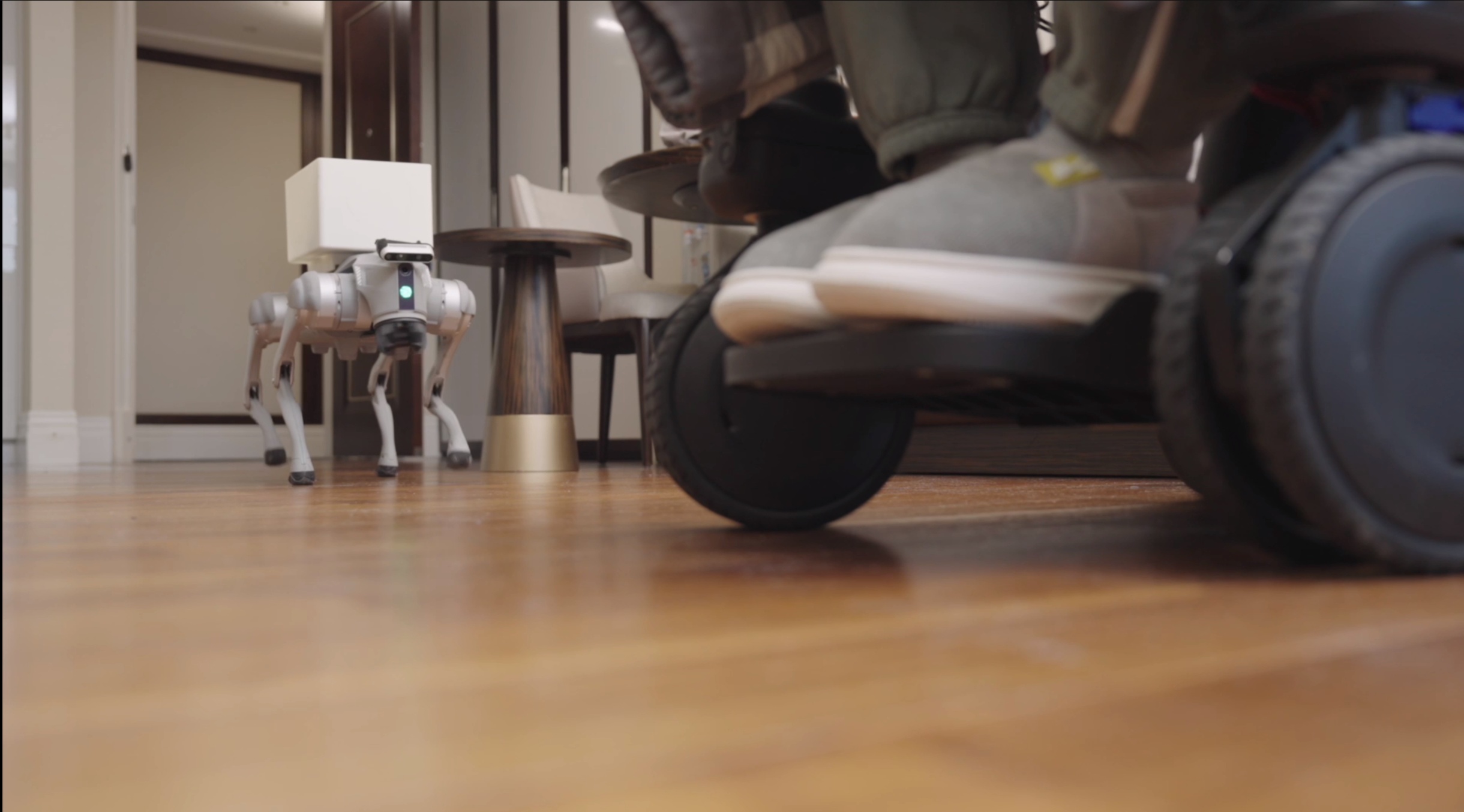 中国脑机接口成功让瘫痪患者“脑控”轮椅遛弯 中国脑机接口成功让瘫痪患者“脑控”轮椅遛弯