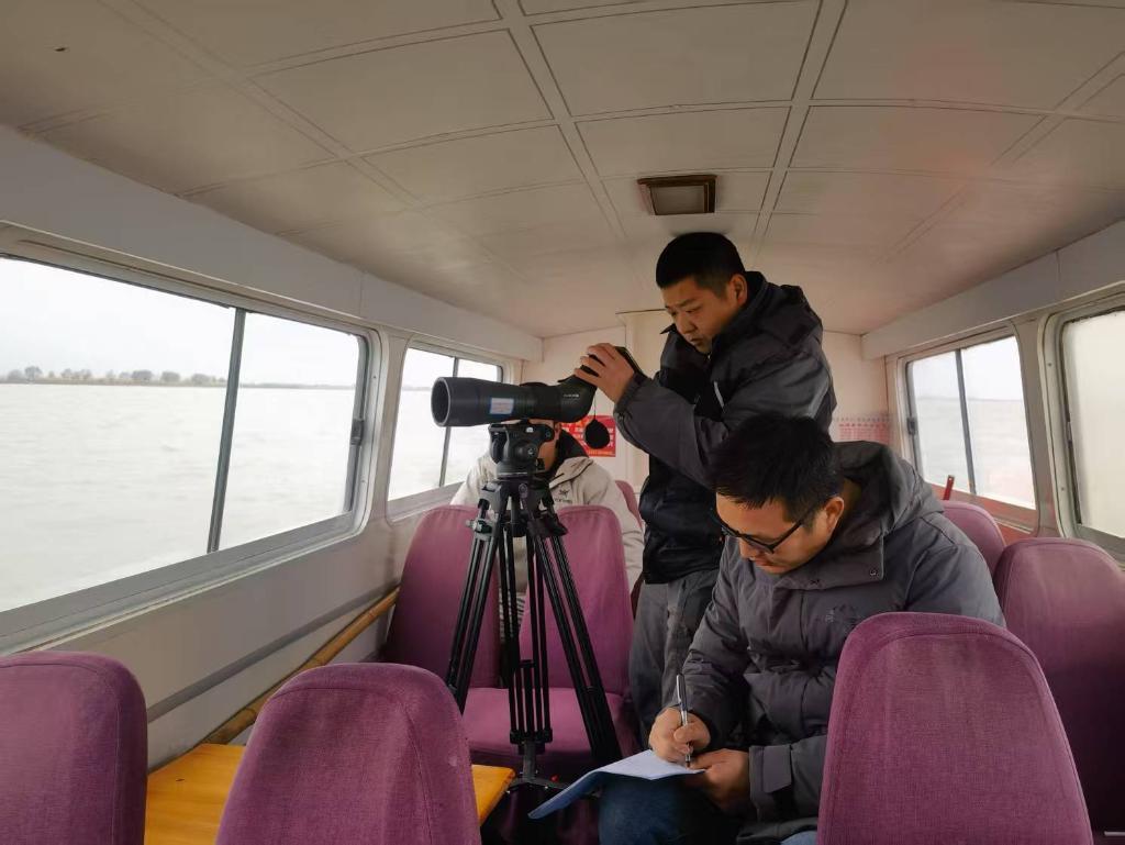 数十万只候鸟,是怎么“数”出来的? 数十万只候鸟,是怎么“数”出来的?