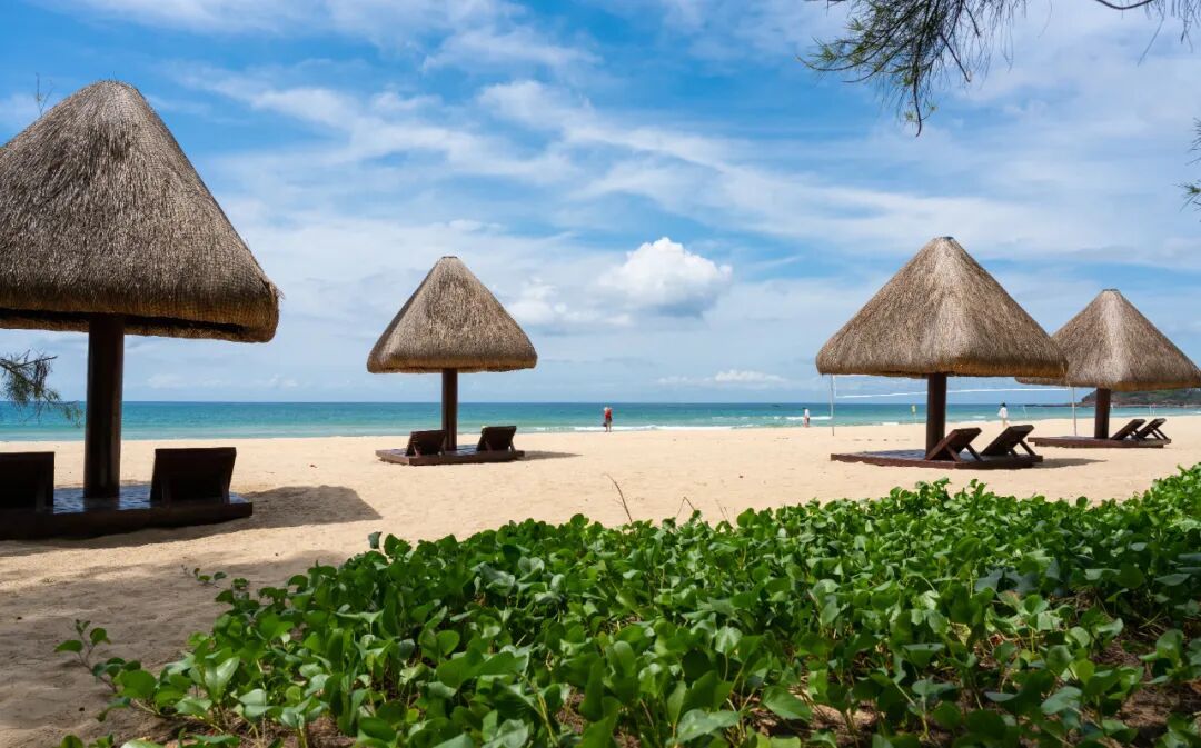 这里,太能 “闯” 了! 这里,太能 “闯” 了!