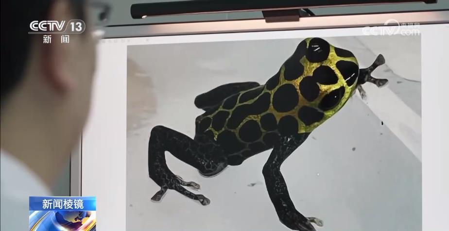 “个性伙伴”成“致命威胁” 严打“异宠”非法入境 “个性伙伴”成“致命威胁” 严打“异宠”非法入境