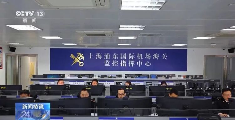 男子被五步蛇咬伤致截肢!这些“个性伙伴”其实是“致命威胁” 男子被五步蛇咬伤致截肢!这些“个性伙伴”其实是“致命威胁”