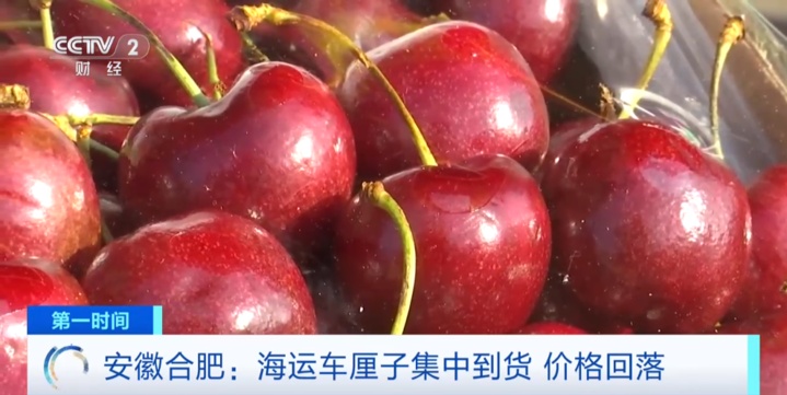 批发价同比降20%!车厘子价格回落 海运供应高峰将至 批发价同比降20%!车厘子价格回落 海运供应高峰将至