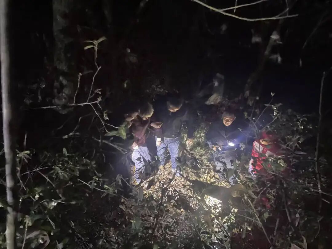 老人深山走失,警民联手寒夜救援 老人深山走失,警民联手寒夜救援