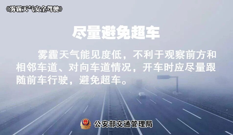 大雾黄色预警!雾天安全驾驶必读! 大雾黄色预警!雾天安全驾驶必读!