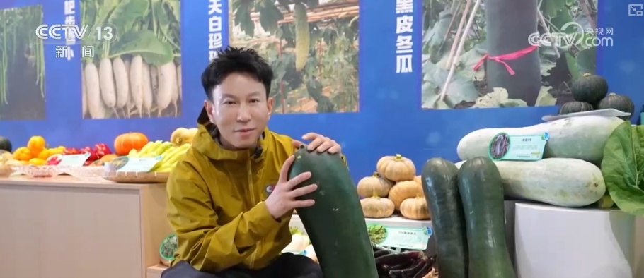 从“返乡一人”到“带动一方” “新农人”矩阵驱动“土特产”变身“金招牌” 从“返乡一人”到“带动一方” “新农人”矩阵驱动“土特产”变身“金招牌”