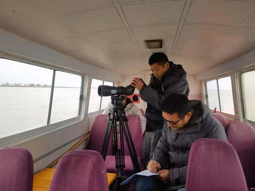 数十万只候鸟,是怎么“数”出来的? 数十万只候鸟,是怎么“数”出来的?