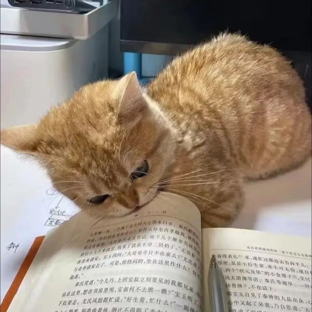 考研味最重的一张照片就像……“真的不是在下五子棋吗” 考研味最重的一张照片就像……“真的不是在下五子棋吗”