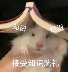 “两个春节”冲上热搜!会放两次假吗? “两个春节”冲上热搜!会放两次假吗?