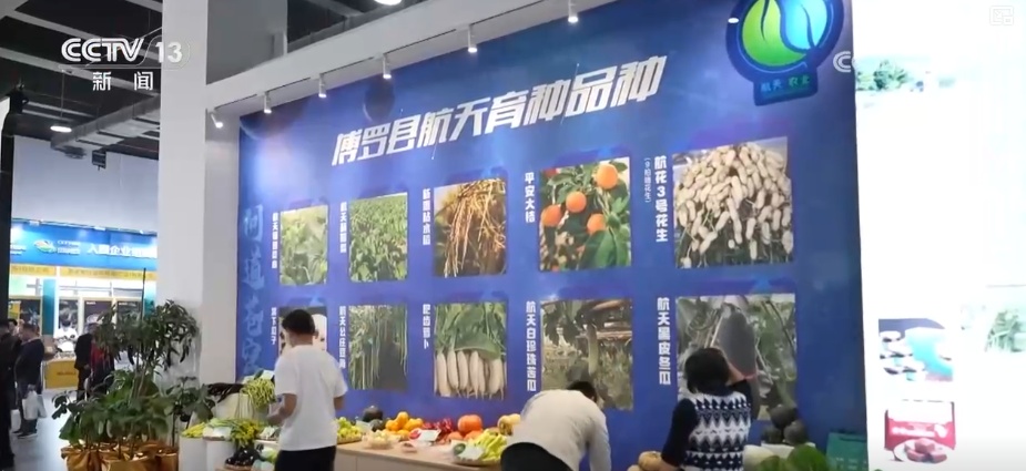 从“返乡一人”到“带动一方” “新农人”矩阵驱动“土特产”变身“金招牌” 从“返乡一人”到“带动一方” “新农人”矩阵驱动“土特产”变身“金招牌”