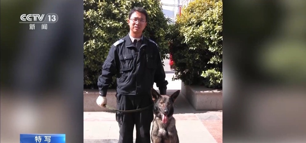 驯导员谈昆明犬：警犬不会演戏 每一次训练都是实战