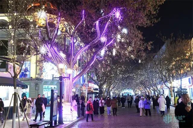 写给冰城的光影情书 2026年中央大街用科技点亮百年老街