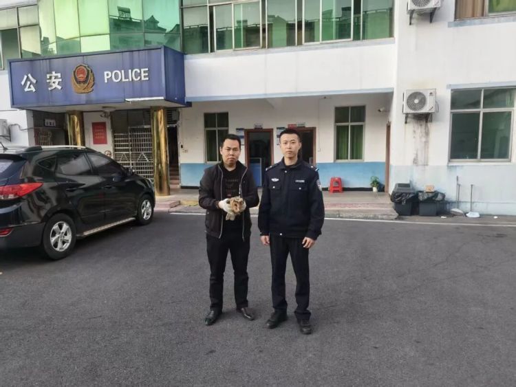 国家二级保护动物“猴面鹰”，成功获救！