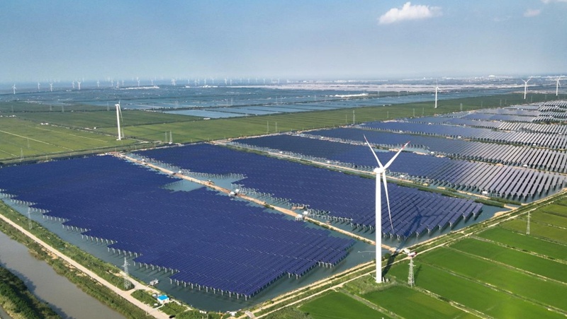 年均发电量近4亿千瓦时 有效优化苏北能源结构 华能江苏又一绿色能源项目并网