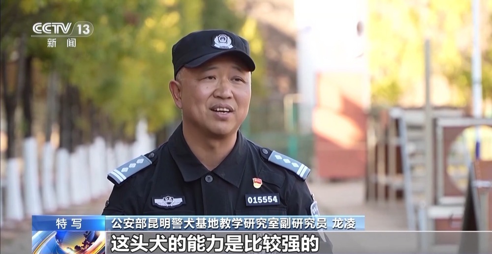 驯导员谈昆明犬：警犬不会演戏 每一次训练都是实战