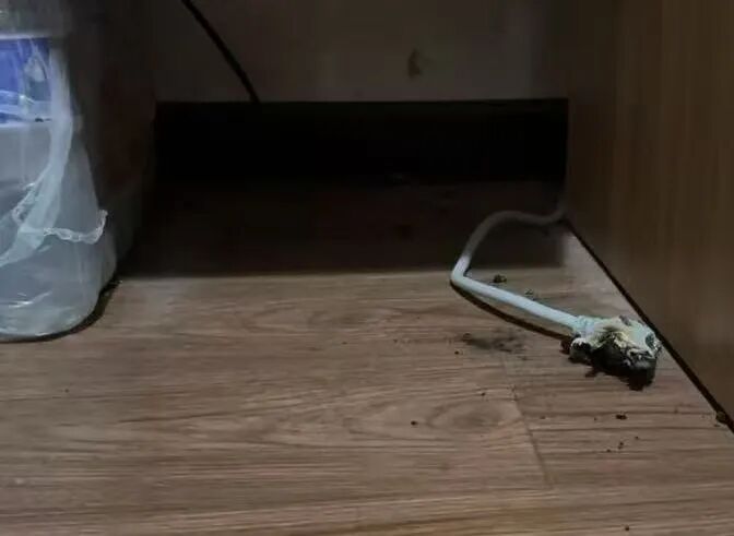 使用了11年的插线板差点引发火灾 大兴消防提示老旧插线板莫“超期服役” 使用了11年的插线板差点引发火灾 大兴消防提示老旧插线板莫“超期服役”