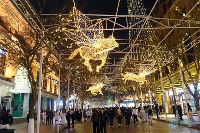 写给冰城的光影情书 2026年中央大街用科技点亮百年老街