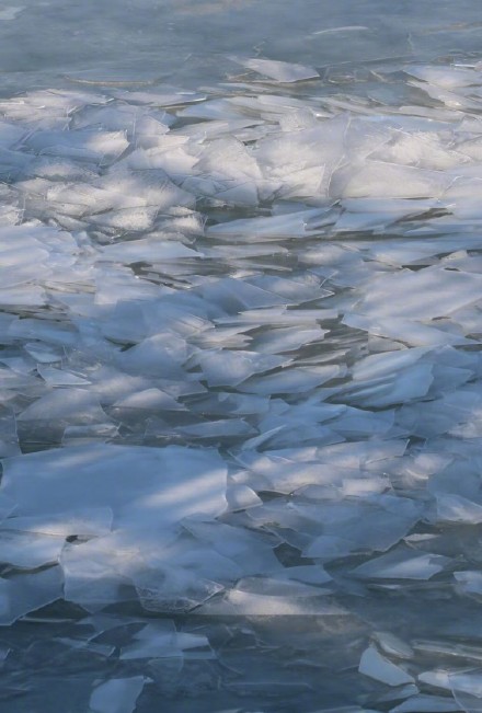 壮观！黄河宁夏段进入流凌结冰期！
